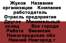 Жуков › Название организации ­ Компания-работодатель › Отрасль предприятия ­ Другое › Минимальный оклад ­ 1 - Все города Работа » Вакансии   . Нижегородская обл.,Нижний Новгород г.